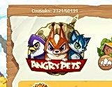 Angry Pets
